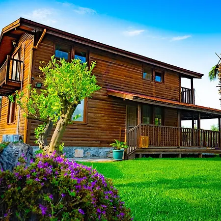 Defne Olive Gardens, Koca Calis, - Previously Defne Hébergement de vacances *