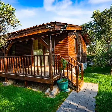 Defne Olive Gardens, Koca Calis, - Previously Defne Hébergement de vacances