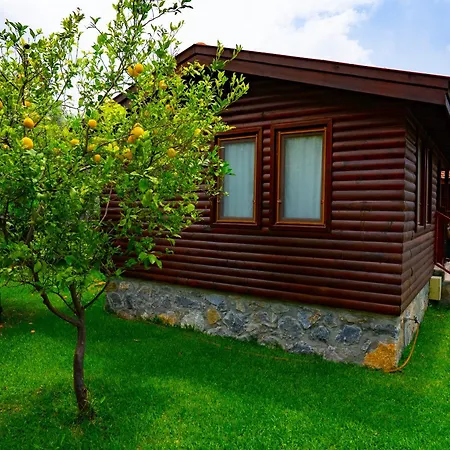 Defne Olive Gardens, Koca Calis, - Previously Defne Hébergement de vacances *