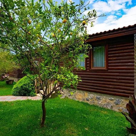 Hébergement de vacances Defne Olive Gardens, Koca Calis, - Previously Defne Fethiye