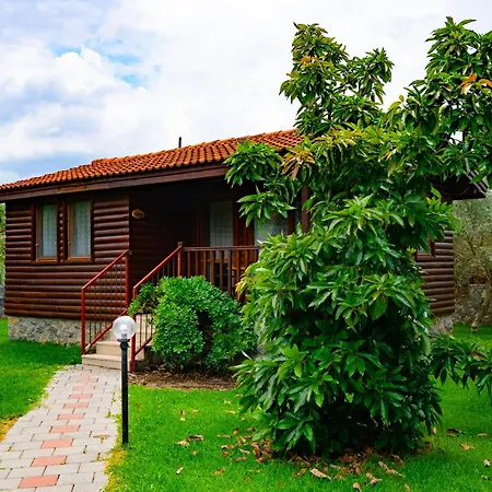 Hébergement de vacances Defne Olive Gardens, Koca Calis, - Previously Defne *