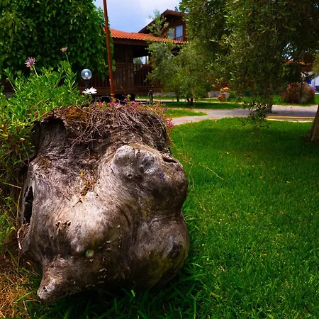 Hébergement de vacances Defne Olive Gardens, Koca Calis, - Previously Defne *