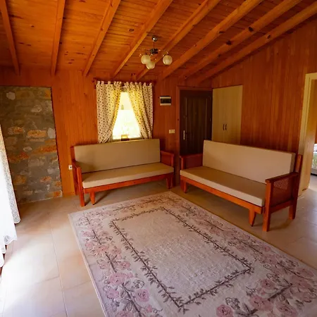 Semesterbostad Defne Olive Gardens, Koca Calis, - Previously Defne *