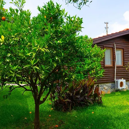 Semesterbostad Defne Olive Gardens, Koca Calis, - Previously Defne